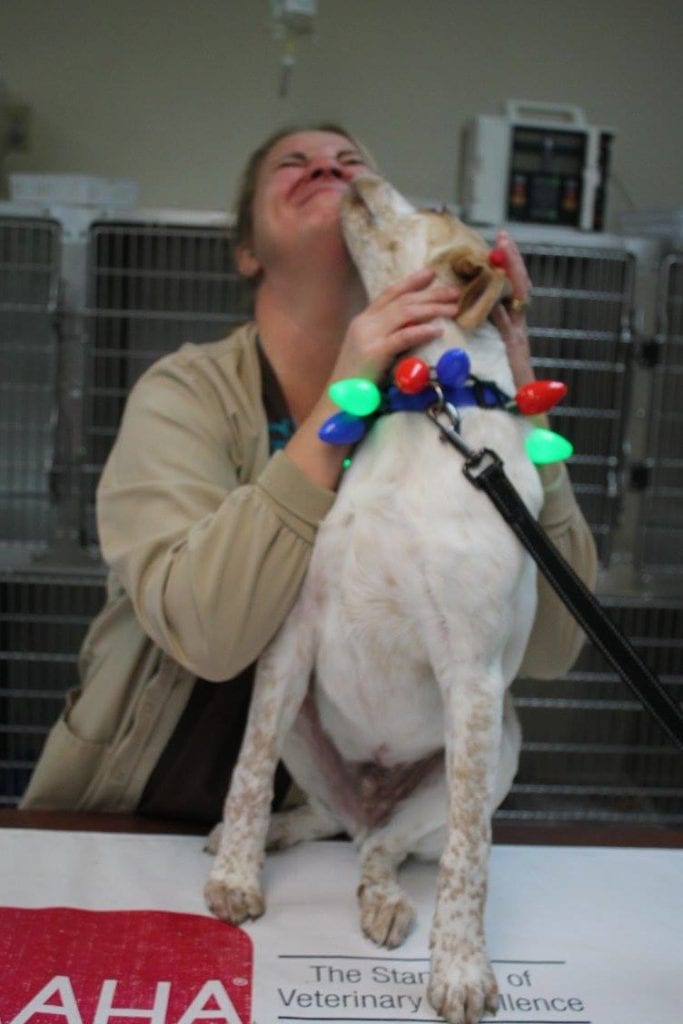 Photo Gallery Union Pet Hospital Union, Kentucky Veterinarian