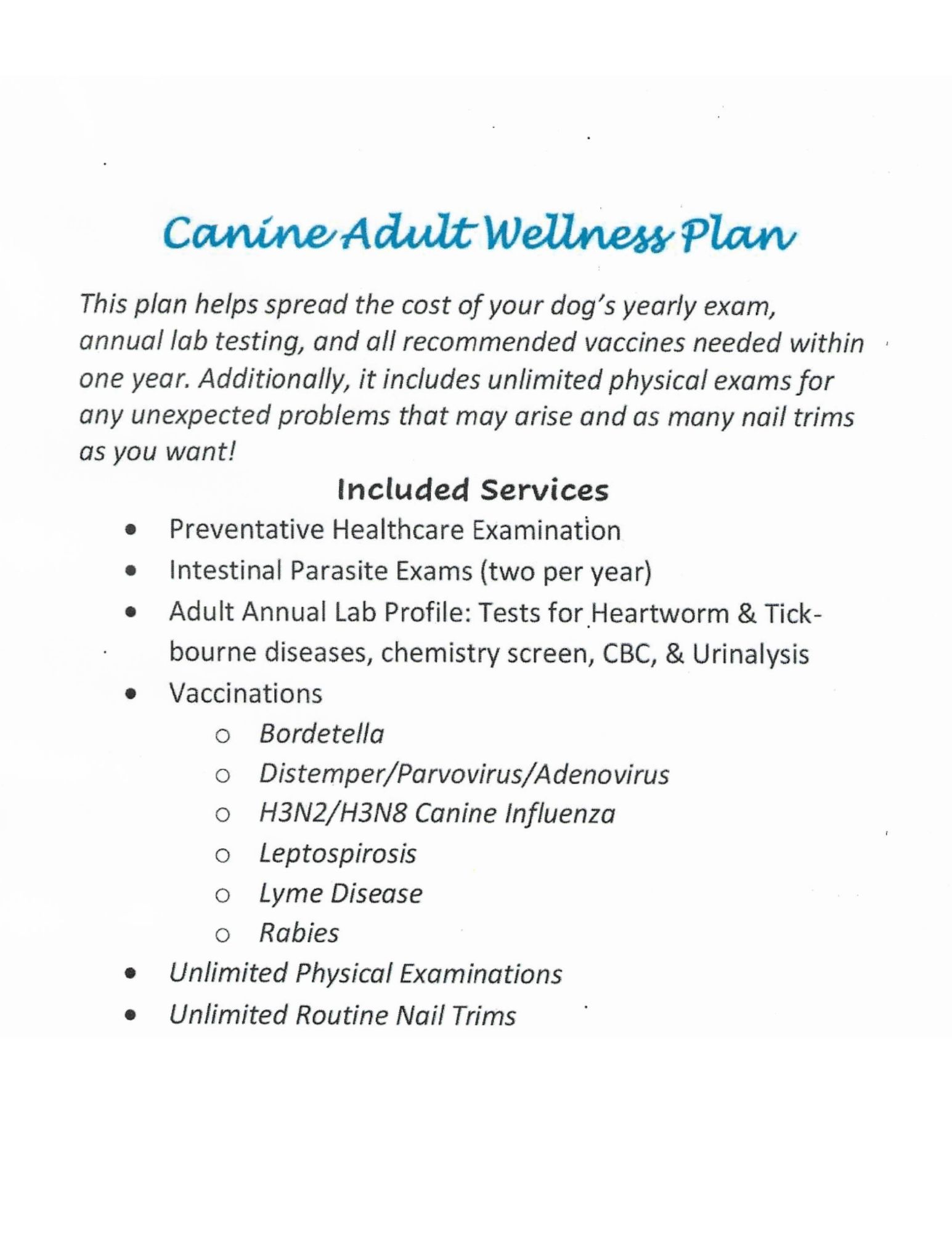 Feline Senior Wellness Plan