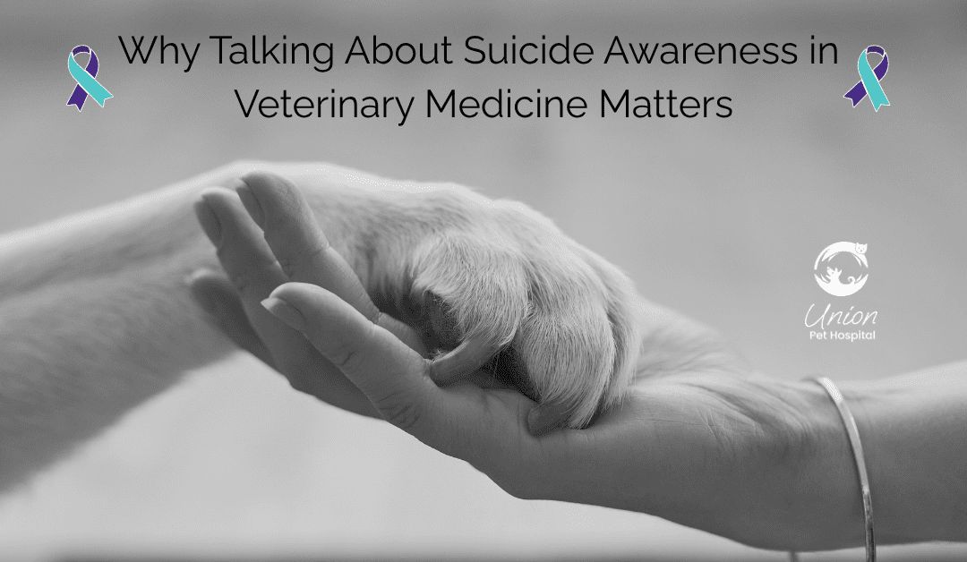 Why Talking About Suicide Awareness in Veterinary Medicine Matters