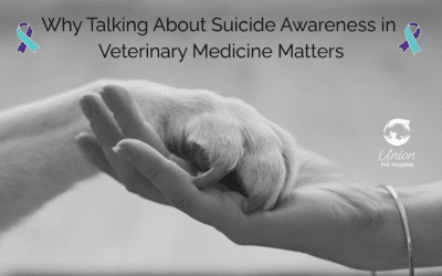 Why Talking About Suicide Awareness in Veterinary Medicine Matters