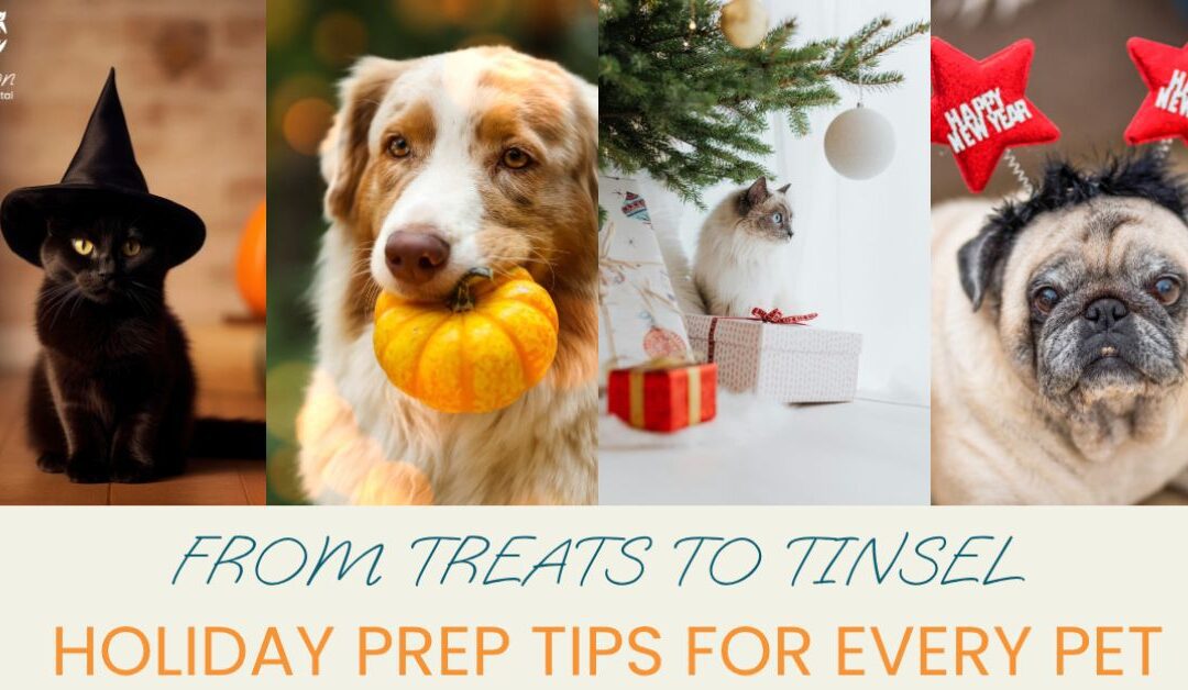 How to prepare your pet for the Holidays!