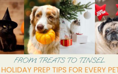 How to prepare your pet for the Holidays!