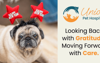 Reflecting on 2025 and Setting Intentions for Your Pet’s Health in 2026