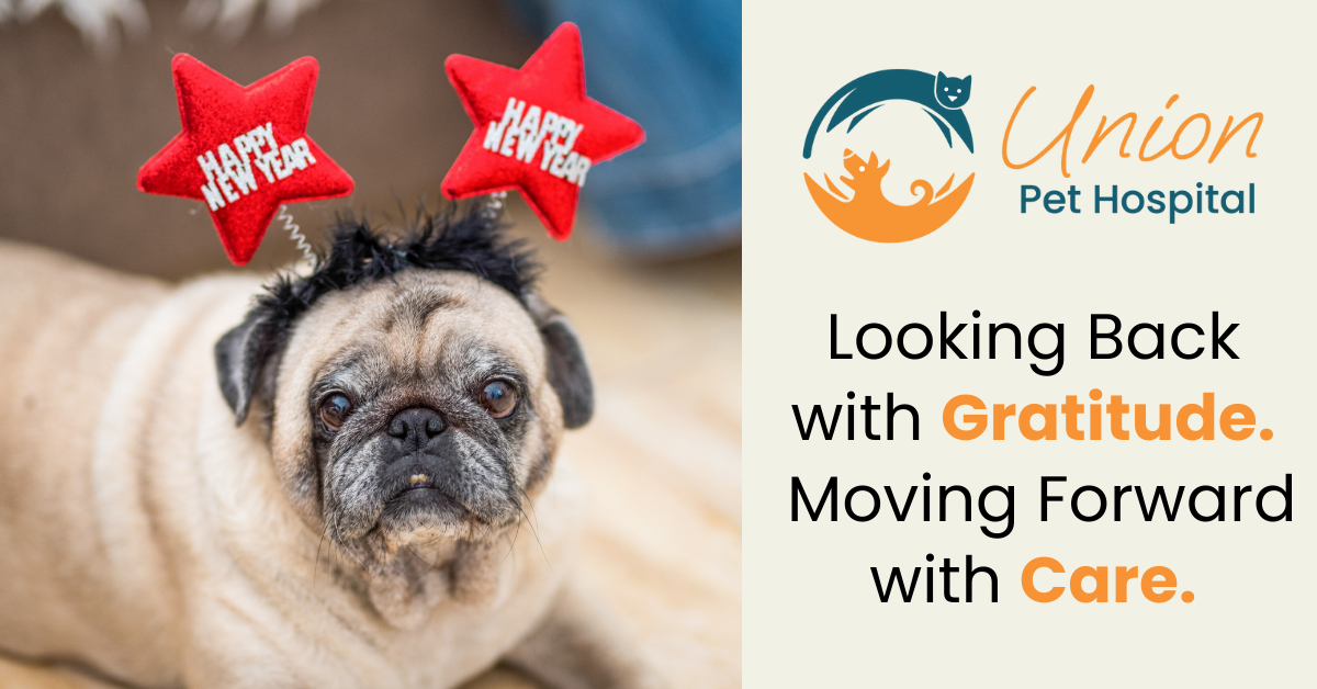 Looking back – moving forward Looking back - moving forward