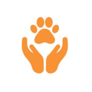 preventative care icon